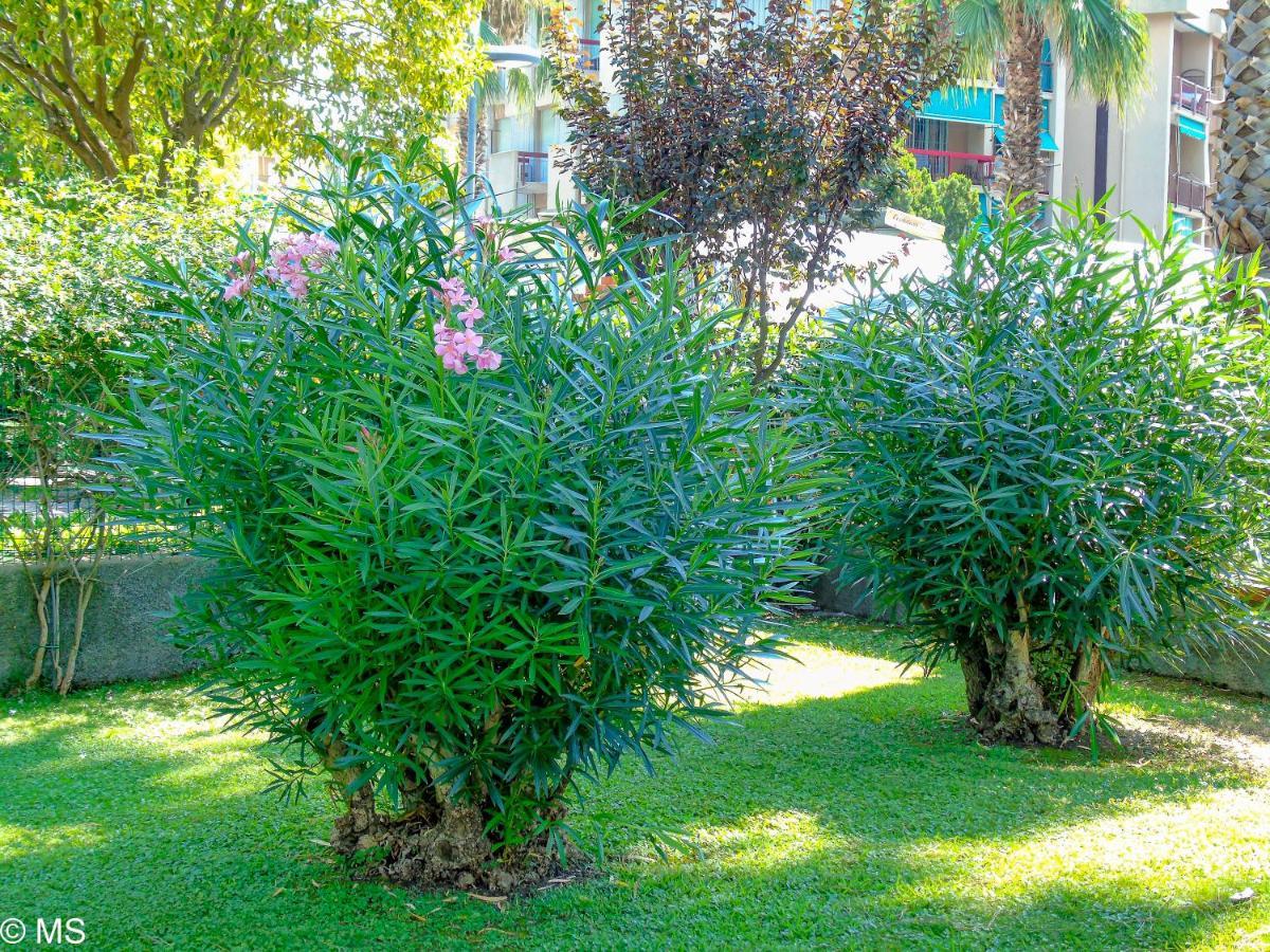 Pietra Home, Posto Auto, Ac ,wifi, 150mt Dal Mare